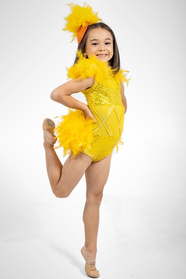 Competition Dance Costumes